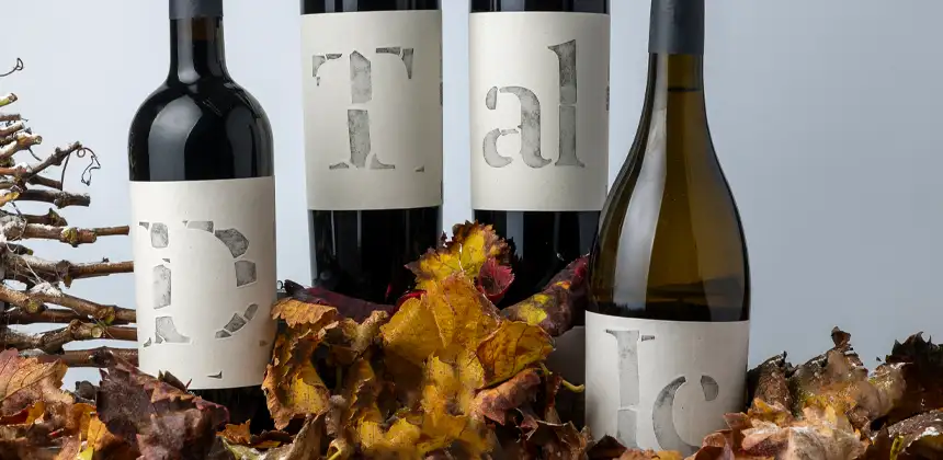 Vins Altavins